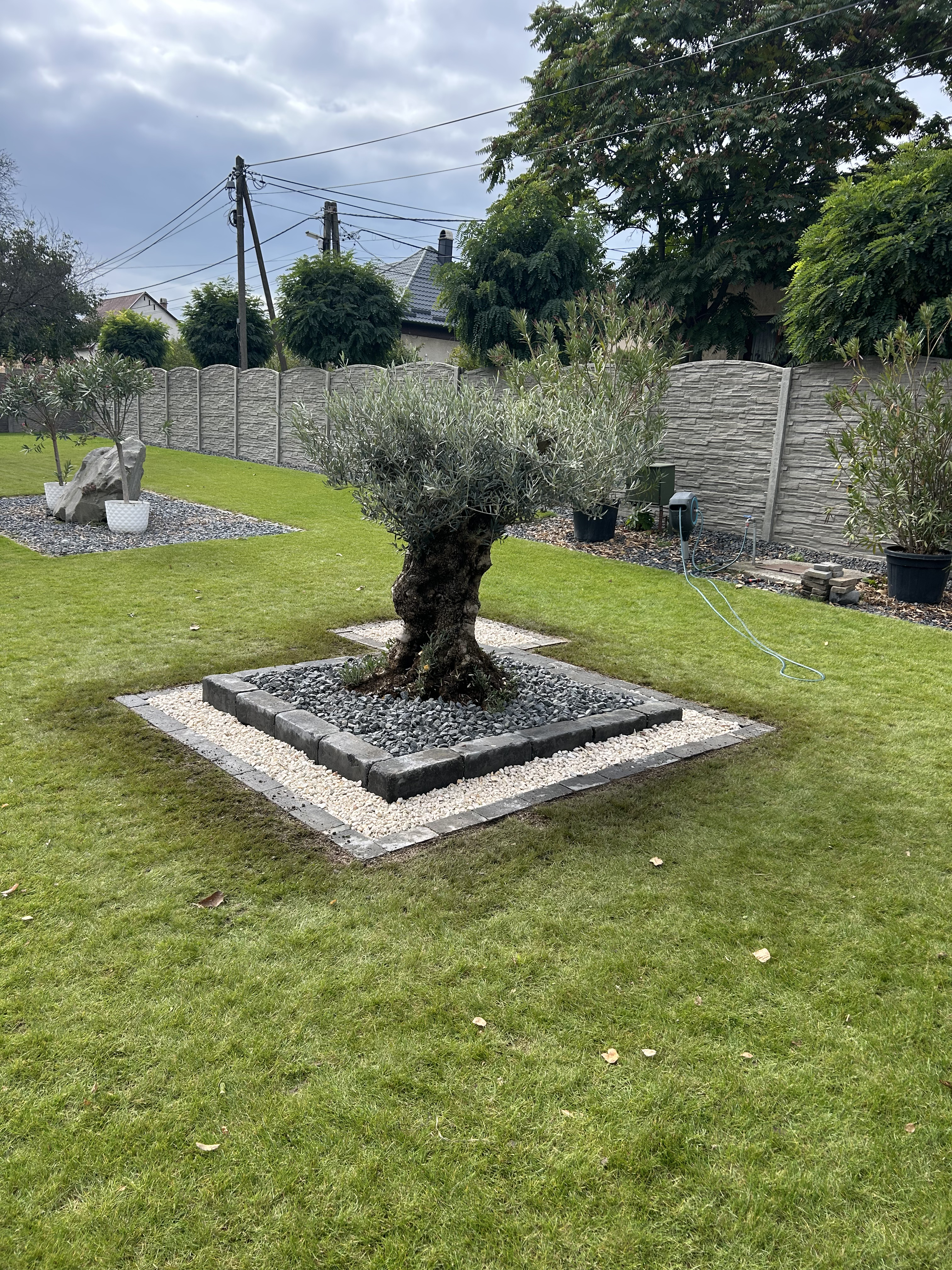 Referencia